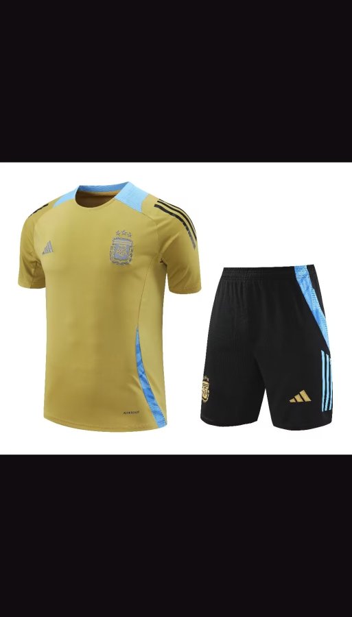 Argentina Training clothing set  1:1 Quality Soccer Jersey    24-25