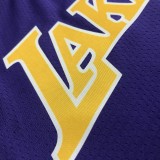 Los Angeles Lakers Purple #0 WESTBROOK  1:1 Quality NBA Season Jerseys