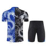 Real Madrid  Training  Fans kits  1:1 Quality Soccer Jersey 25-26 (Kids And Man )