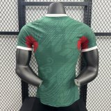 Mexico Special Edition player  1:1 Quality Soccer Jersey   25-26
