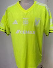 Tiger  GK Green  Fans 1:1 Quality Soccer Jersey    24-25