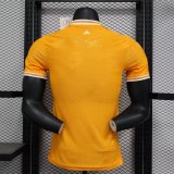 Ivory Coast home player 1:1 Quality Soccer Jersey   25-26