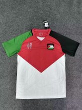 Palestine Special Edition  Fans 1:1 Quality Soccer Jersey  24-25