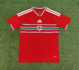 Wales  Home Fans 1:1 Quality Soccer Jersey  26-27 (2026)