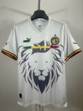 Senegal Special Edition Fans  1:1 Quality Soccer Jersey  23-24