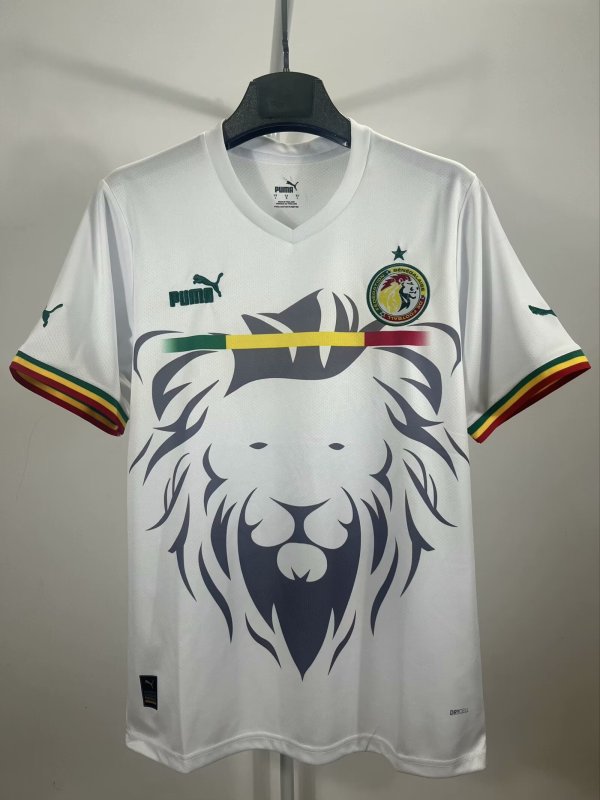 Senegal Special Edition Fans  1:1 Quality Soccer Jersey  23-24