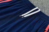 Colombia Training Special Edition  Fans 1:1 Quality Soccer Jersey 26-27（2026）