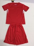 Turkey away kids 1:1 Quality Soccer Jersey   24-25
