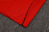 Arsenal Polo Fans  Red 1:1 Quality Soccer Jersey  25-26