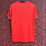 Romania away fans 1:1 Quality Soccer Jersey  24-25
