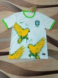 Brazil  Special Edition Fans 1:1 Quality Soccer Jersey  24-25