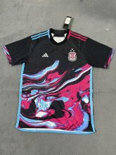 Argentina Special Edition  Fans  1:1 Quality Soccer Jersey   24-25