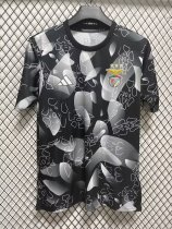 Benfica Special Edition Fans 1:1 Quality Soccer Jersey  24-25