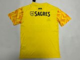 Benfica Away   Special Edition Fans 1:1 Quality Soccer Jersey 22-23
