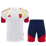 spain Training  Fans Kits White (Kids And Man 16-2XL) 1:1 Quality Soccer Jersey 26-27 (2026)