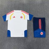 Colombia Training Special Edition  Fans White  1:1 Quality Soccer Jersey 26-27（2026）