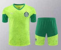 Palmeiras Training clothing set  1:1 Quality Soccer Jersey   24-25