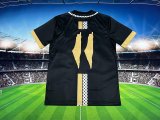 Palestine Special Edition Fans 1:1 Quality Soccer Jersey  25-26