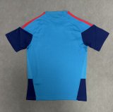 Spain Training Special Edition Fans 1:1 Quality Soccer Jersey 26-27（2026）