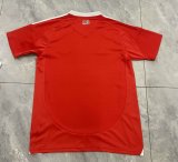 Internacional Home fans 1:1 Quality Soccer Jersey   25-26