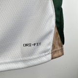 Boston Celtics City Edition White #7 BROWN   1:1 Quality NBA Jerseys  2024