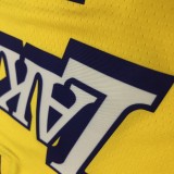 Los Angeles Lakers  V-Neck  Yellow with star  #23 JAMES 1:1 Quality NBA Season Jerseys