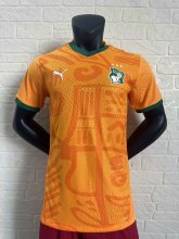 Ivory Coast home player 1:1 Quality Soccer Jersey   24-25