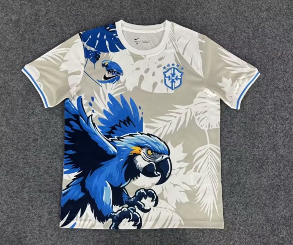 Brazil  Special Edition  Fans  1:1 Quality Soccer Jersey 25-26