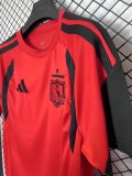 Colo-Colo Training  Special Edition Fans  1:1 Quality Soccer Jersey  26-27