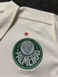 Palmeiras polo Special Edition fans 1:1 Quality Soccer Jersey   25-26