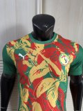 Senegal Special Edition player   1:1 Quality Soccer Jersey   25-26
