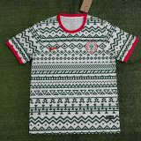 Nigeria Special Edition fans  1:1 Quality Soccer Jersey  23-24