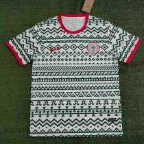 Nigeria Special Edition fans  1:1 Quality Soccer Jersey  23-24