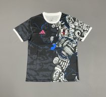 Japan Special Edition Fans 1:1 Quality Soccer Jersey  25-26