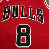 Chicago Bulls Red #8 LAVINE 1:1 Quality NBA  Season Jerseys