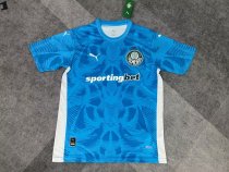 Palmeiras goalkeeper  fans 1:1 Quality Soccer Jersey   25-26