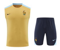 France Training clothing Vest  set  1:1 Quality Soccer Jersey    24-25