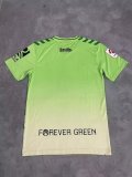 Real Betis Special Edition fans 1:1 Quality Soccer Jersey  24-25