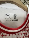 PSV Eindhoven  Special Edition Fans 1:1 Quality Soccer Jersey  26-27