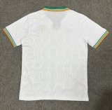 Roma Third  Away Fans 1:1 Quality Soccer Jersey   25-26