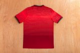 Retro Portugal Home Fans  1:1 Quality Soccer Jersey  2014