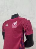 Mexico Goalkeeper Player 1:1 Quality Soccer Jersey   26-27（2026）