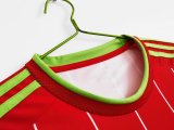 Retro Welsh home 1:1 Quality Soccer Jersey  2015-2016