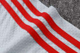 Bayern Munich Polo Fans  Grey 1:1 Quality Soccer Jersey  25-26