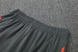 Bayern Munich  Training  Fans Kits  1:1 Quality Soccer Jersey 25-26 (Kids And Man )