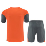 Bayern Munich  Training  Fans Kits  1:1 Quality Soccer Jersey 25-26 (Kids And Man )