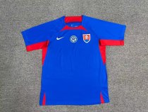 Slovakia home  Fans  1:1 Quality Soccer Jersey   24-25
