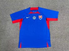 Slovakia home  Fans  1:1 Quality Soccer Jersey   24-25