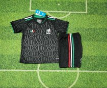 Mexico   Special Edition Fans  1:1 Quality Soccer Jersey   25-26
