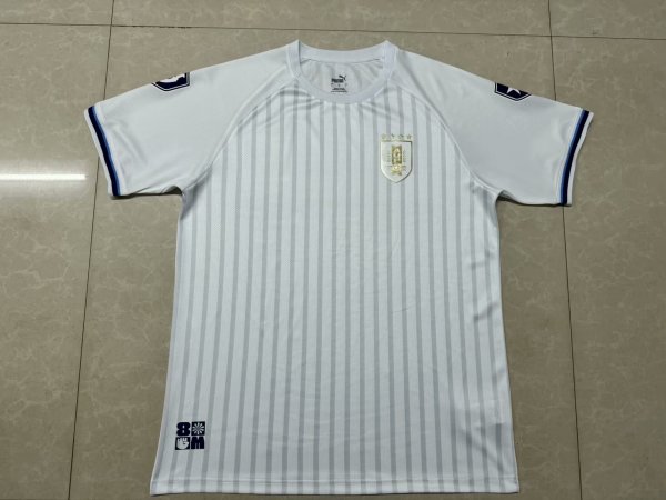 Uruguay Special Edition fans 1:1 Quality Soccer Jersey   24-25